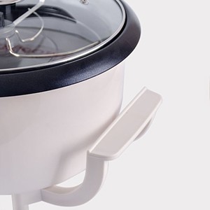 WINB Coffee Roaster Machine for Home Use, 110V Household Electric Coffee Bean