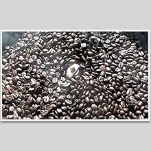 WINB Coffee Roaster Machine for Home Use, 110V Household Electric Coffee Bean