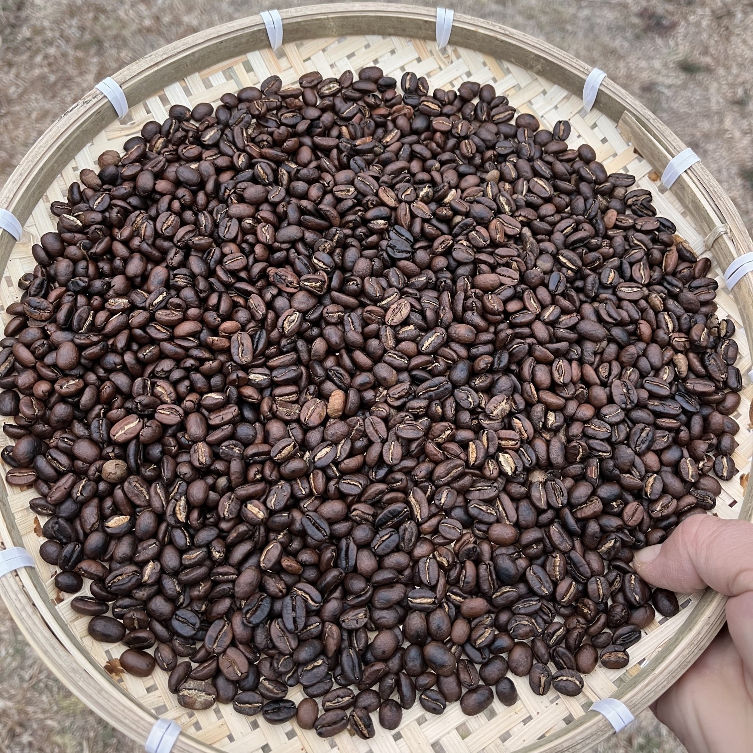 Hand-Crank Rotating Stainless Steel Coffee Bean Roaster with Thermometer