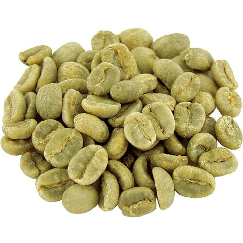 Fresh Roast SR-540 Automatic Coffee Bean Roaster