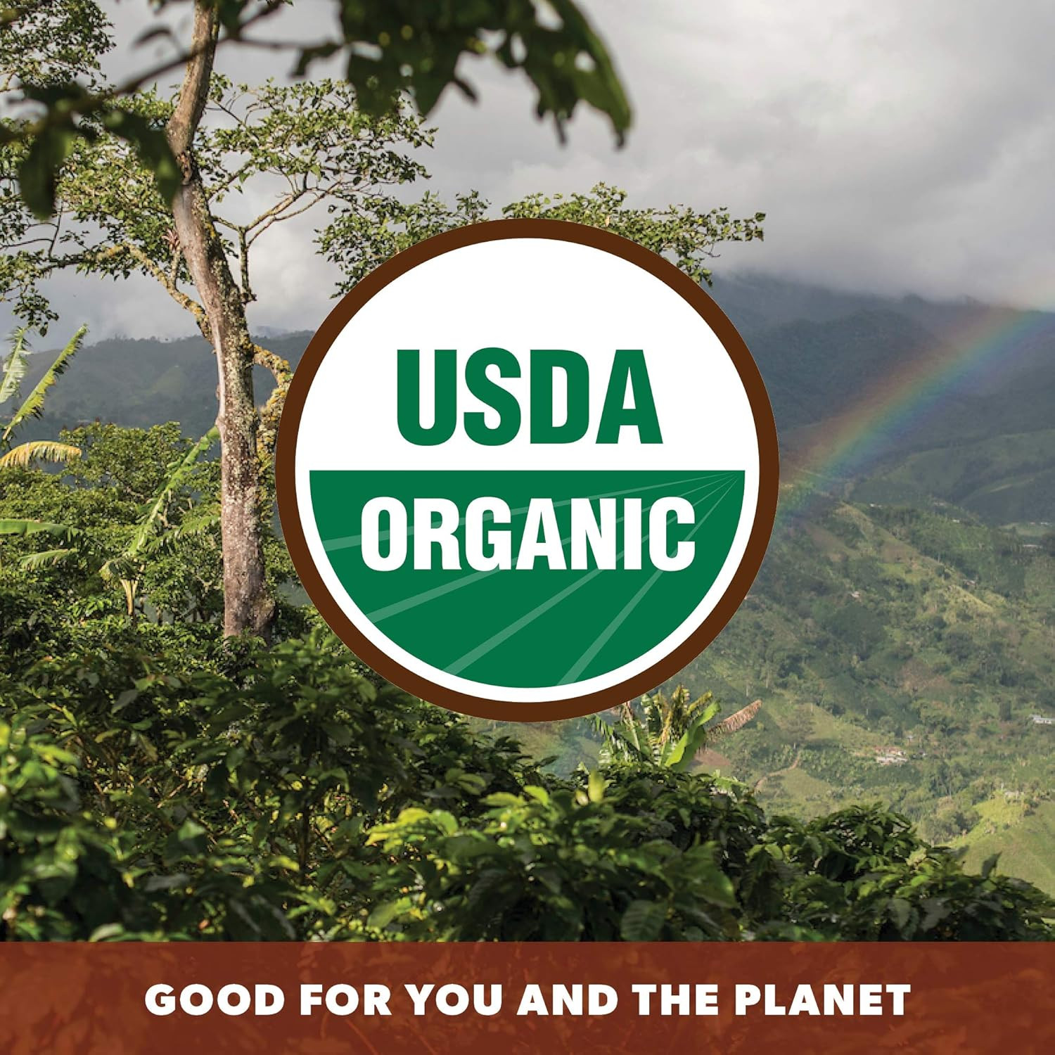 Low Acid Organic Coffee – Whole Bean, Mold-Free & Stomach Friendly by , Coconut