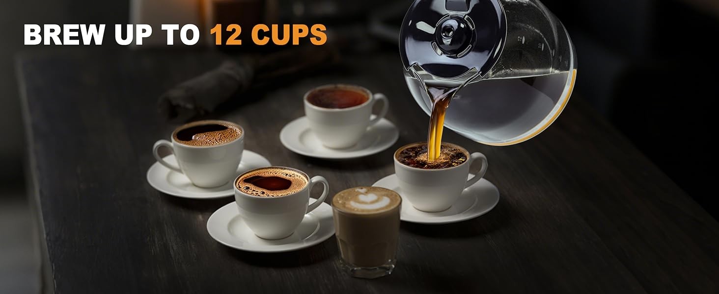 12 Cup Progrmable Coffee Maker, Hot and Iced Coffee Makers,