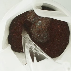 Reble Cold Brew Coffee s and Spers Replacement Felt s