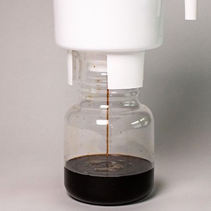 Reble Cold Brew Coffee s and Spers Replacement Felt s