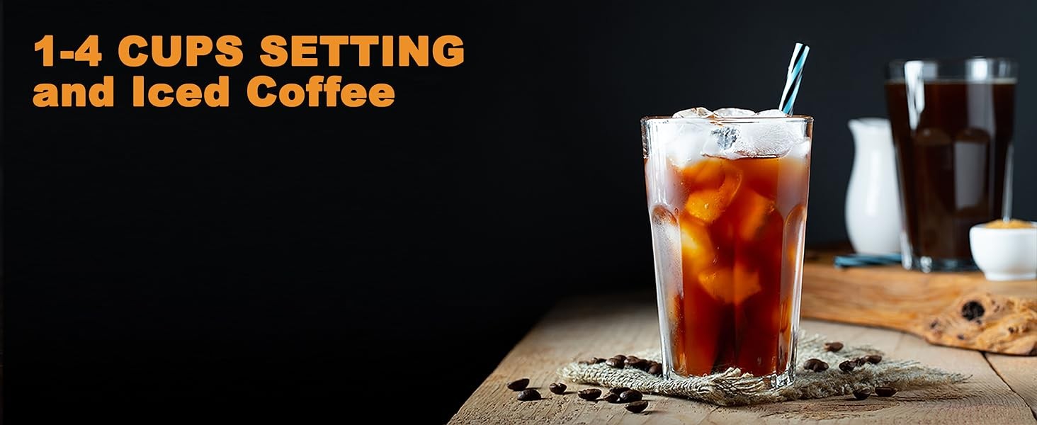 12 Cup Progrmable Coffee Maker, Hot and Iced Coffee Makers,