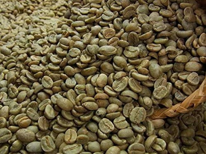 Coffee Roaster Gene Cafe CBR-101A Coffee Bean Roaster Raw USED