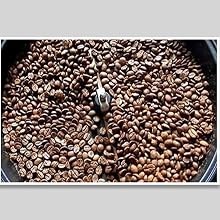 WINB Coffee Roaster Machine for Home Use, 110V Household Electric Coffee Bean